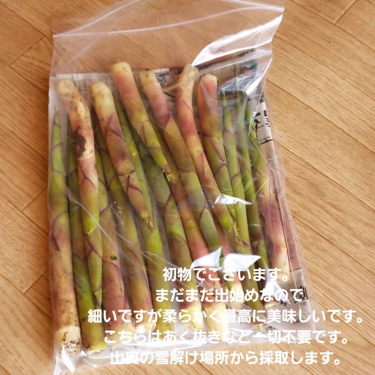 山形庄内産　朝摘天然月山竹(根曲竹)約500g　姫竹　天麩羅　春野菜　山菜