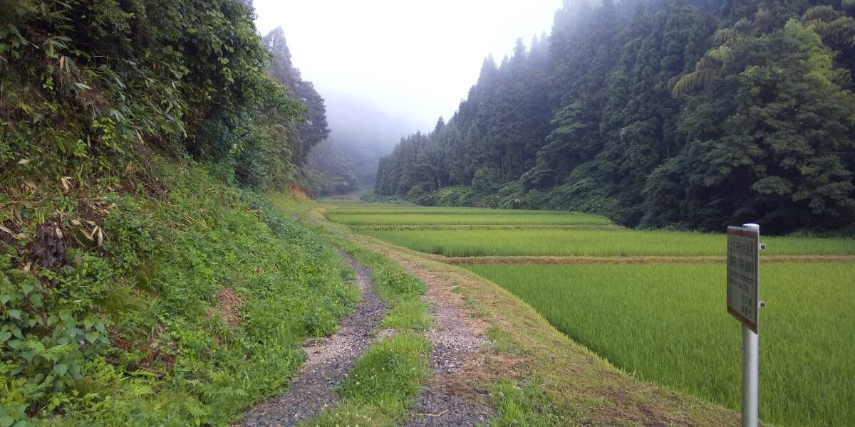 【復興米】コシヒカリ玄米５kg④ 石川県輪島産 ５年産 農家直送 遠赤外線乾燥 無農薬栽培 世界農業遺産 紙袋で発送の画像3