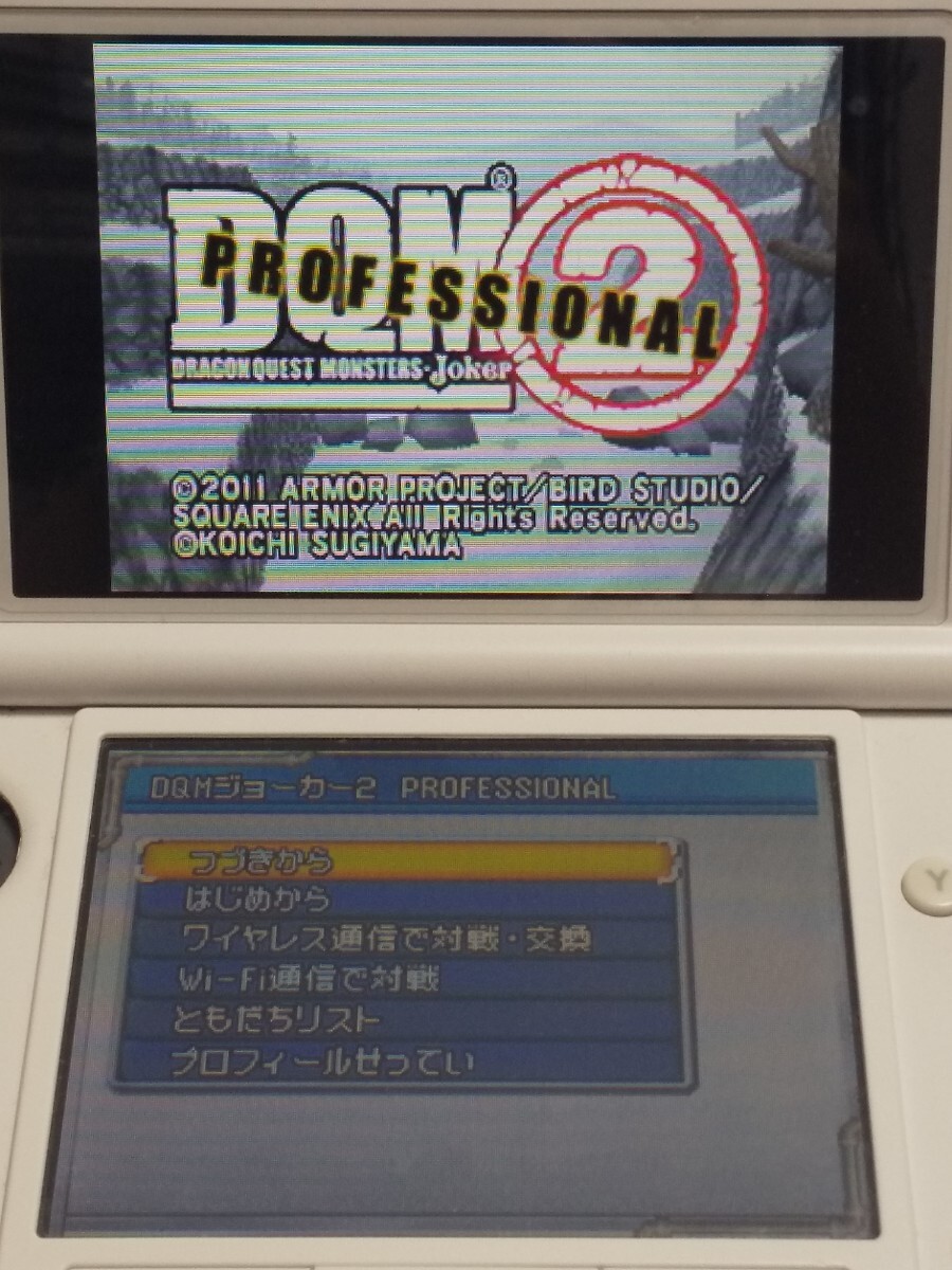 Nintendo DS ドラゴンクエストモンスターズ ジョーカー2 PROFESSIONAL【管理】M4D186