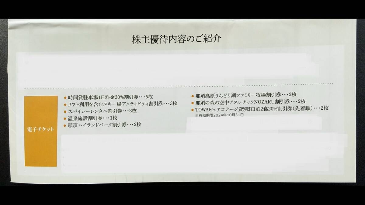 日本駐車場開発　1,000株保有者　株主優待券（紙の優待券3枚、電子優待券7枚）_画像1