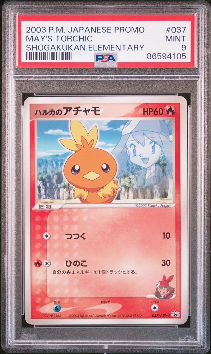 Yahoo!オークション - ポケモンカード サトシのキモリ ハルカの Yahoo!オークション - ポケモンカード サトシのキモリ ハルカの