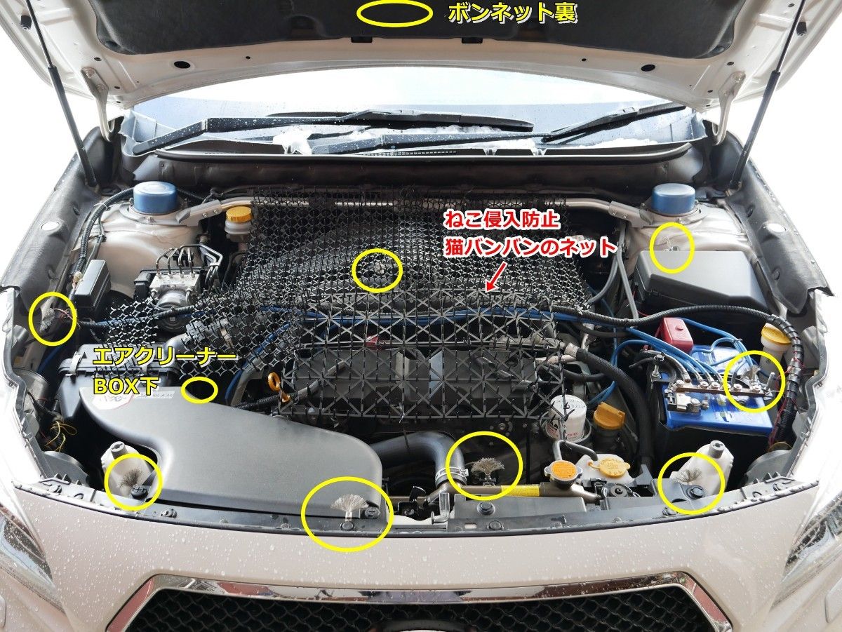 D⑧静電気放電索 スタティックディスチャージャー／静電気除去／除電／放電／ビス径Φ8㎜10 個セット 　