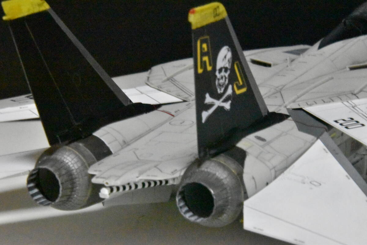  Tamiya F14A Tomcat 1/48 painted final product 