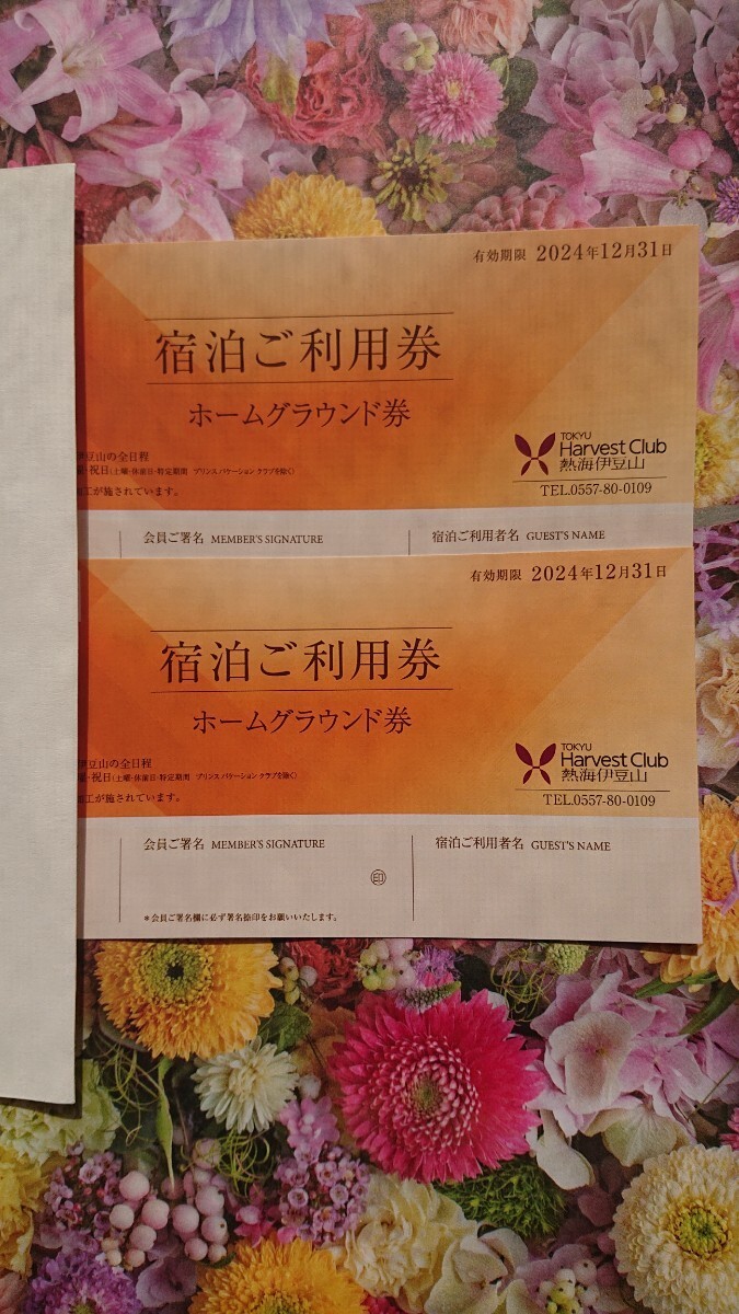 2枚セット【熱海伊豆山】2024年東急ハーヴェストクラブホームグラウンド利用券／送料無料の画像1