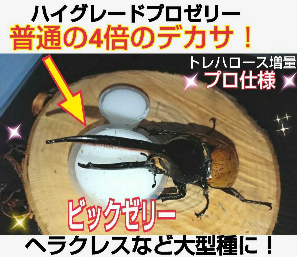65グラム超ビックサイズ!ハイグレードプロゼリー☆特大200個☆成分に拘わり抜いた最高峰!産卵促進・長寿・体力増進に!トレハロース増量