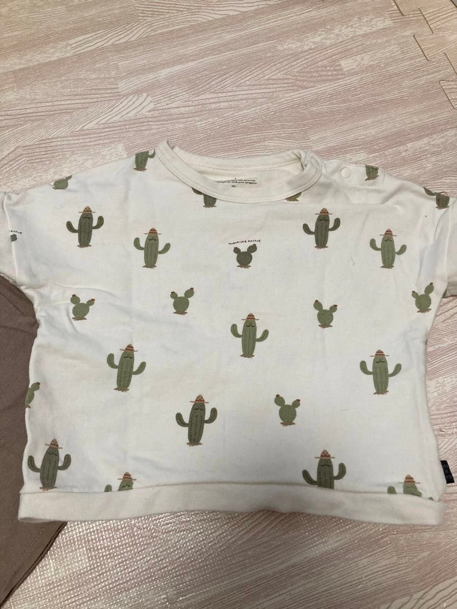 テータテート　Tシャツ　2枚セット　90