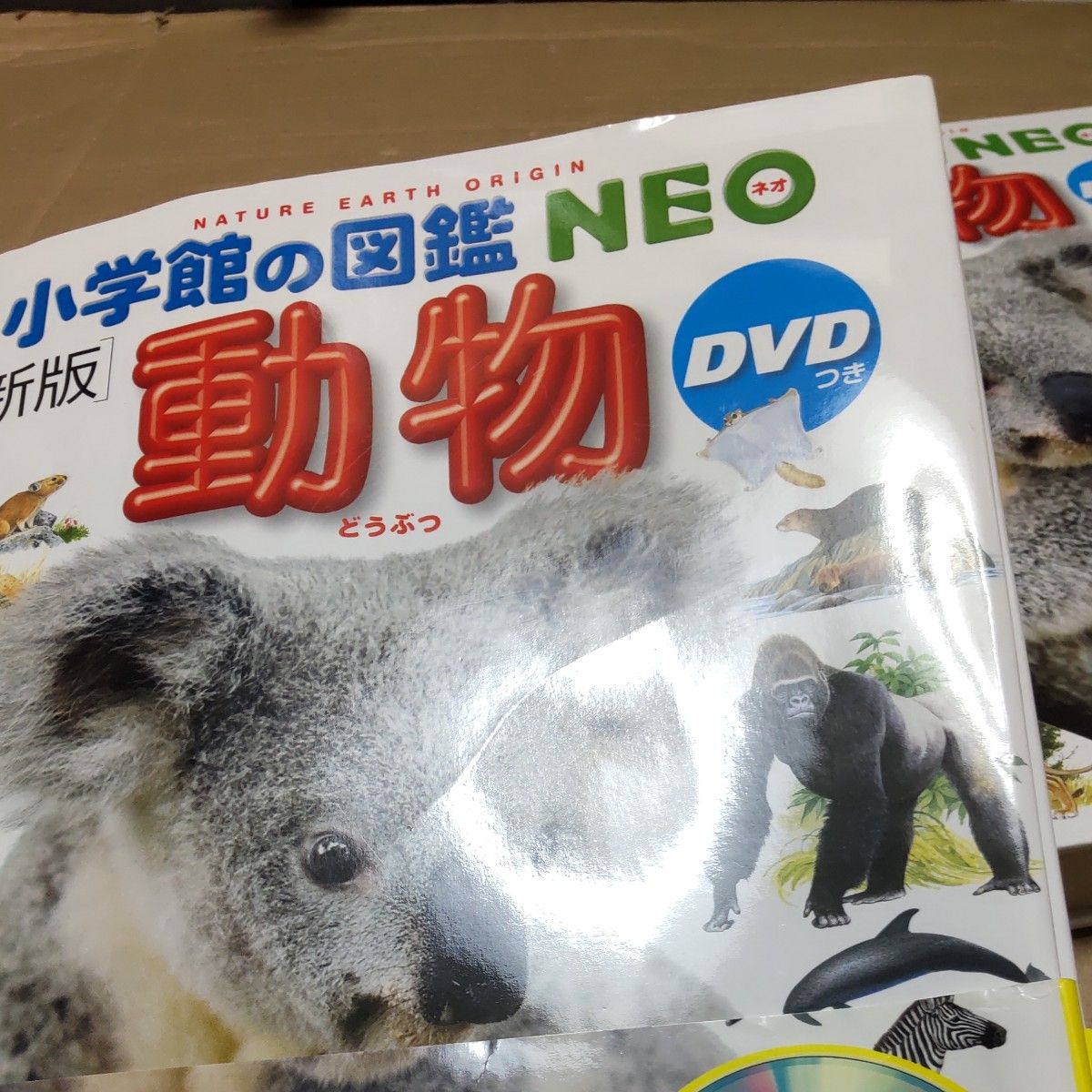 動物 （小学館の図鑑ＮＥＯ　１）DVDつき （新版） 三浦慎悟／〔ほか〕監修・指導　田中豊美／ほか画