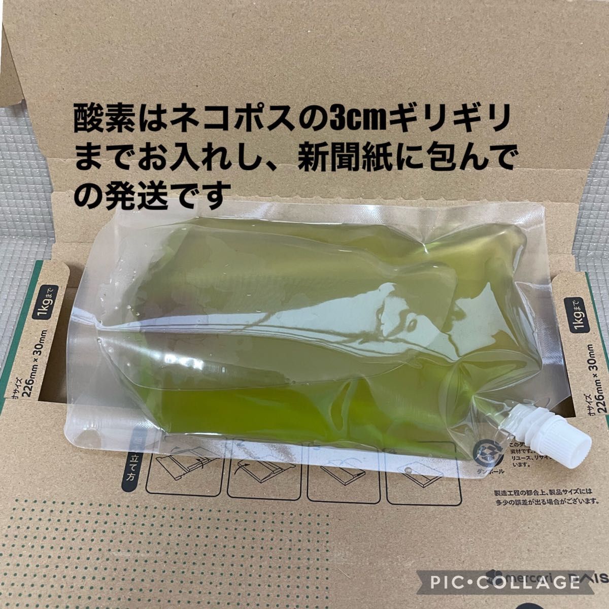 送料無料　良質　タマミジンコ　12,000匹　生き餌　加温メダカ　金魚　らんちゅう　産卵促進　色揚げに　栄養満点　育成スピードUP