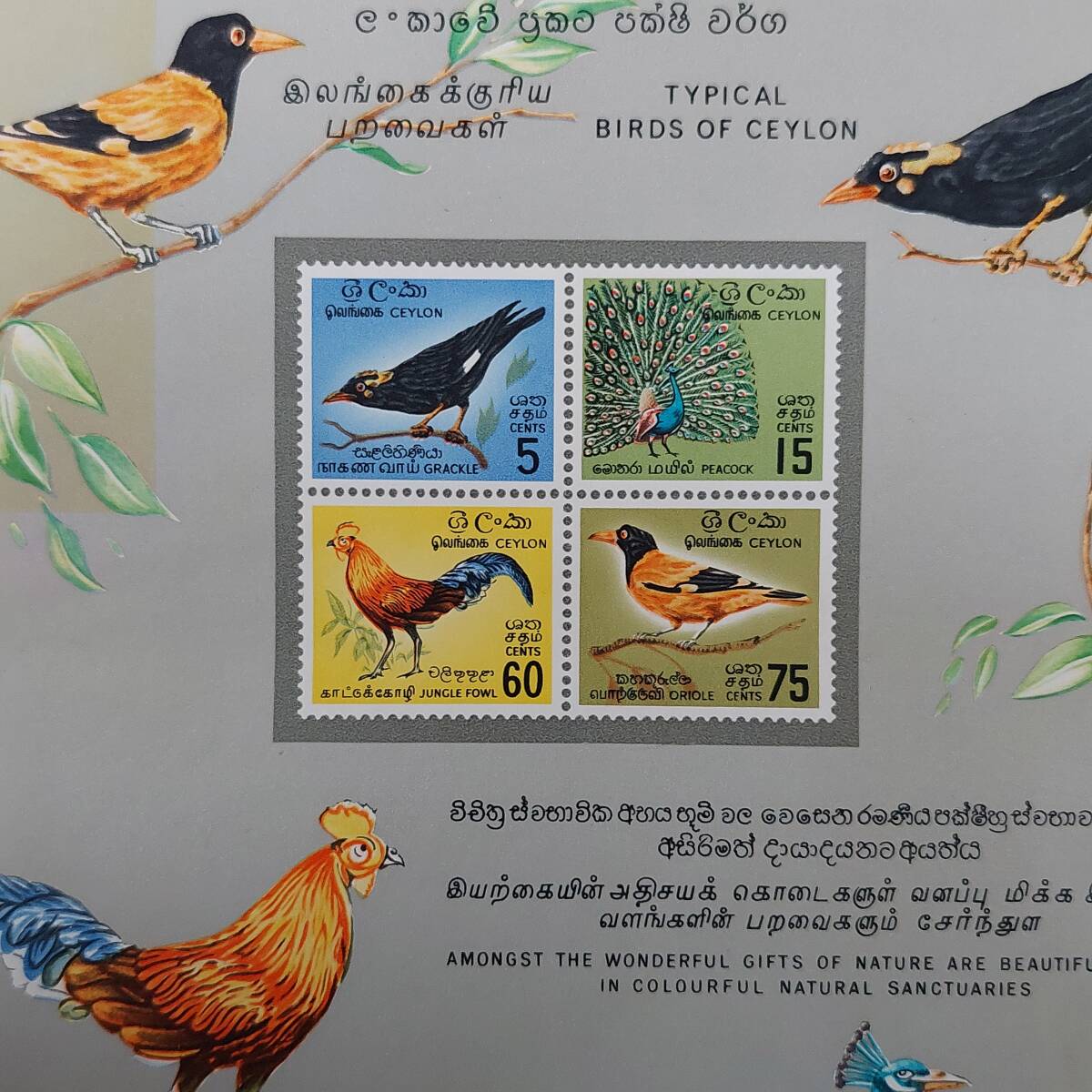 J431 スリランカ切手「セイロンに生息する鳥4種中型シート」1966年発行 未使用の画像1