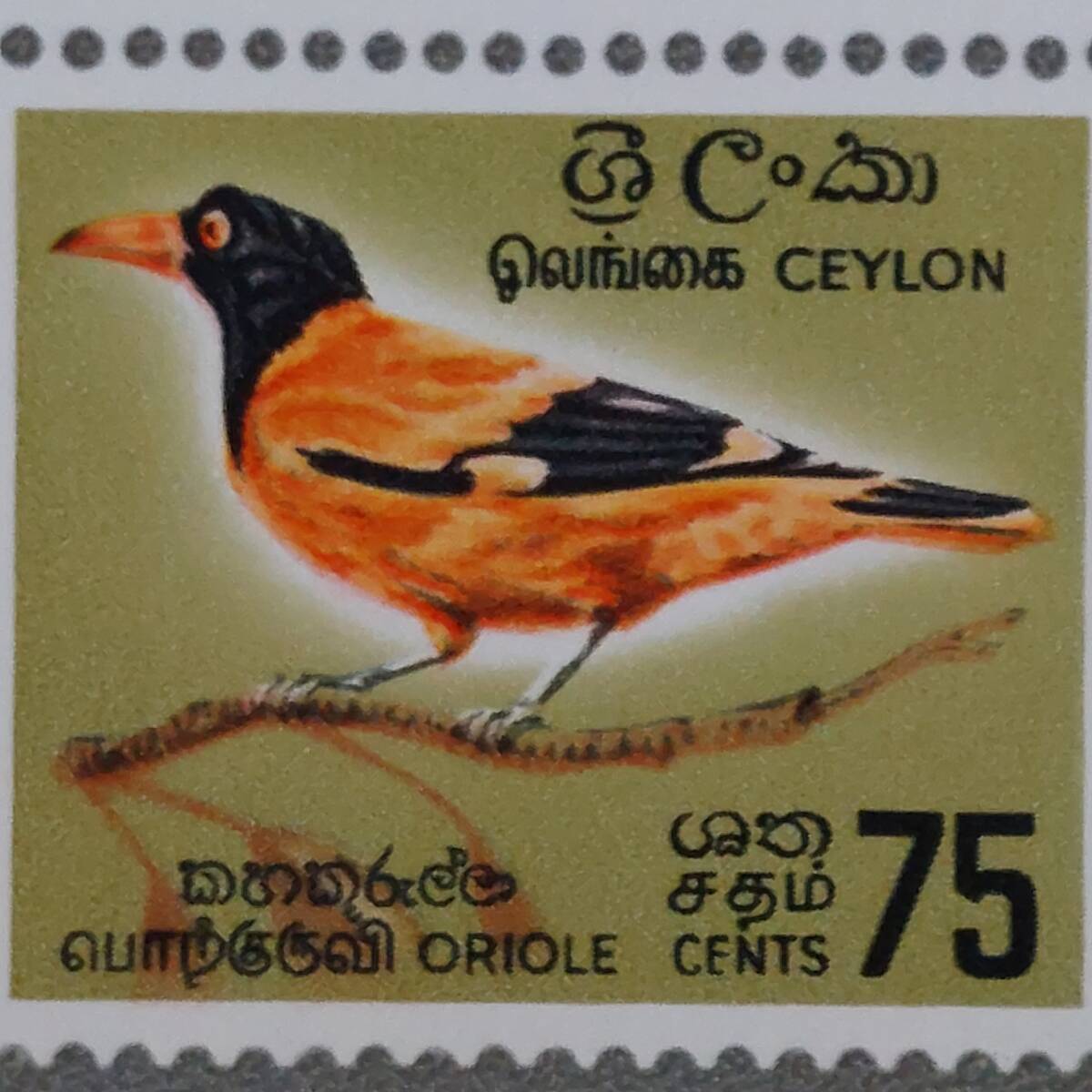 J431 スリランカ切手「セイロンに生息する鳥4種中型シート」1966年発行 未使用の画像8