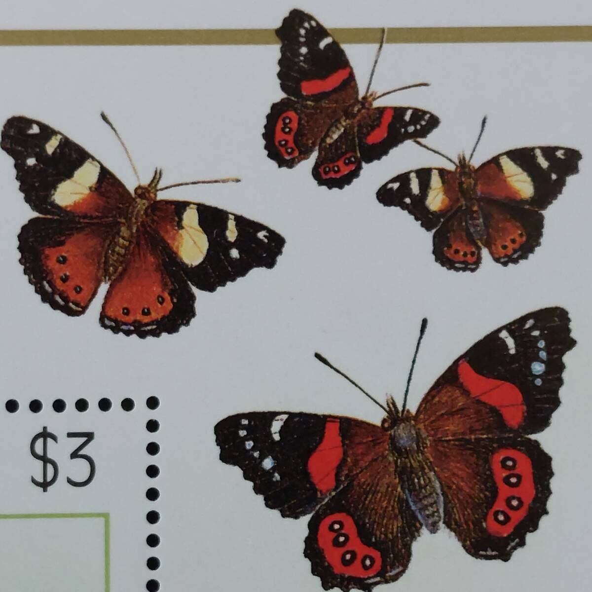 J450 ニュージーランド切手「PHILAニッポン91(世界切手展)にニュージーランドが出品した蝶切手小型シート」1991年発行 未使用の画像2