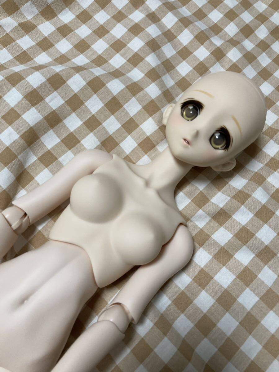 VOLKS DDSma Rico summer festival ver. body + diff .ruto I 