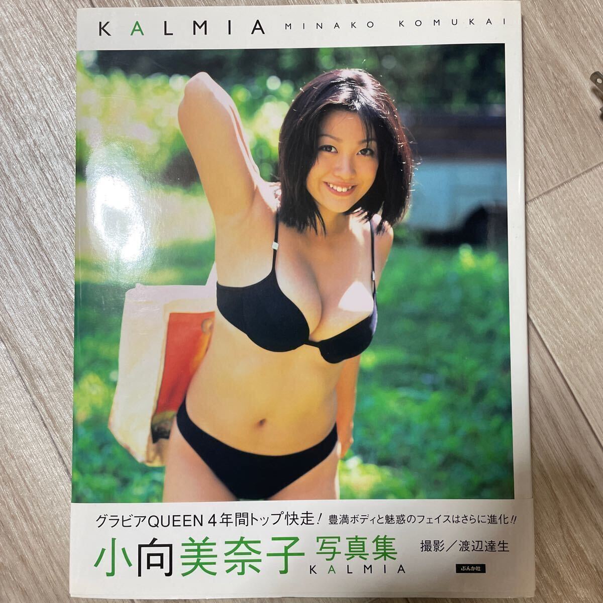 帯付き 小向美奈子 写真集 KALMIA KOMUKAI MINAKO_画像1