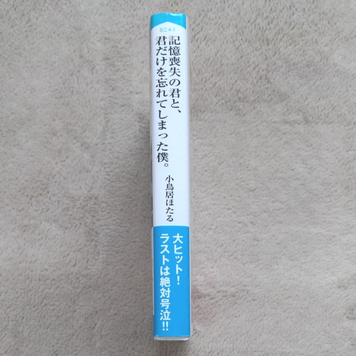 記憶喪失の君と、君だけを忘れてしまった僕。 （スターツ出版文庫　Ｓこ４－１） 小鳥居ほたる／著