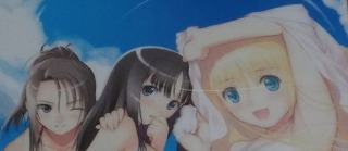 たぬき 希少 仏蘭西少女/リバーシブル/B2タペストリー/Tony/T2 ART WORKS タペストリー