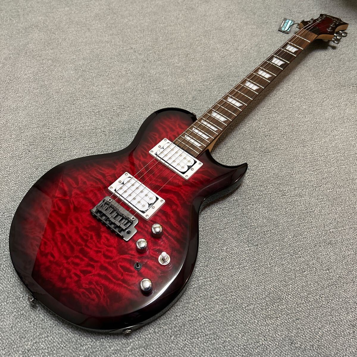 ARIA PRO Ⅱ アリアプロ Les Paul アリア レスポール タイプ lespaul ジャンク扱い ギグケース の画像10