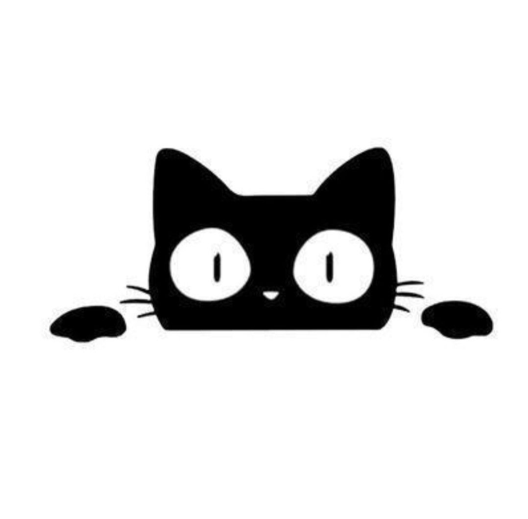 猫　ステッカー　白　黒　2枚セット　かわいい　カーステッカー　装飾　デカール ラスト1点