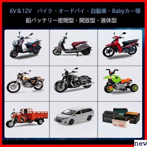 AUTOWHD 自動車＆バイク用 4-40Ah用 2A充電 テナンス充電 全自動 6Vと12V用バッテリー充電器 55の画像2
