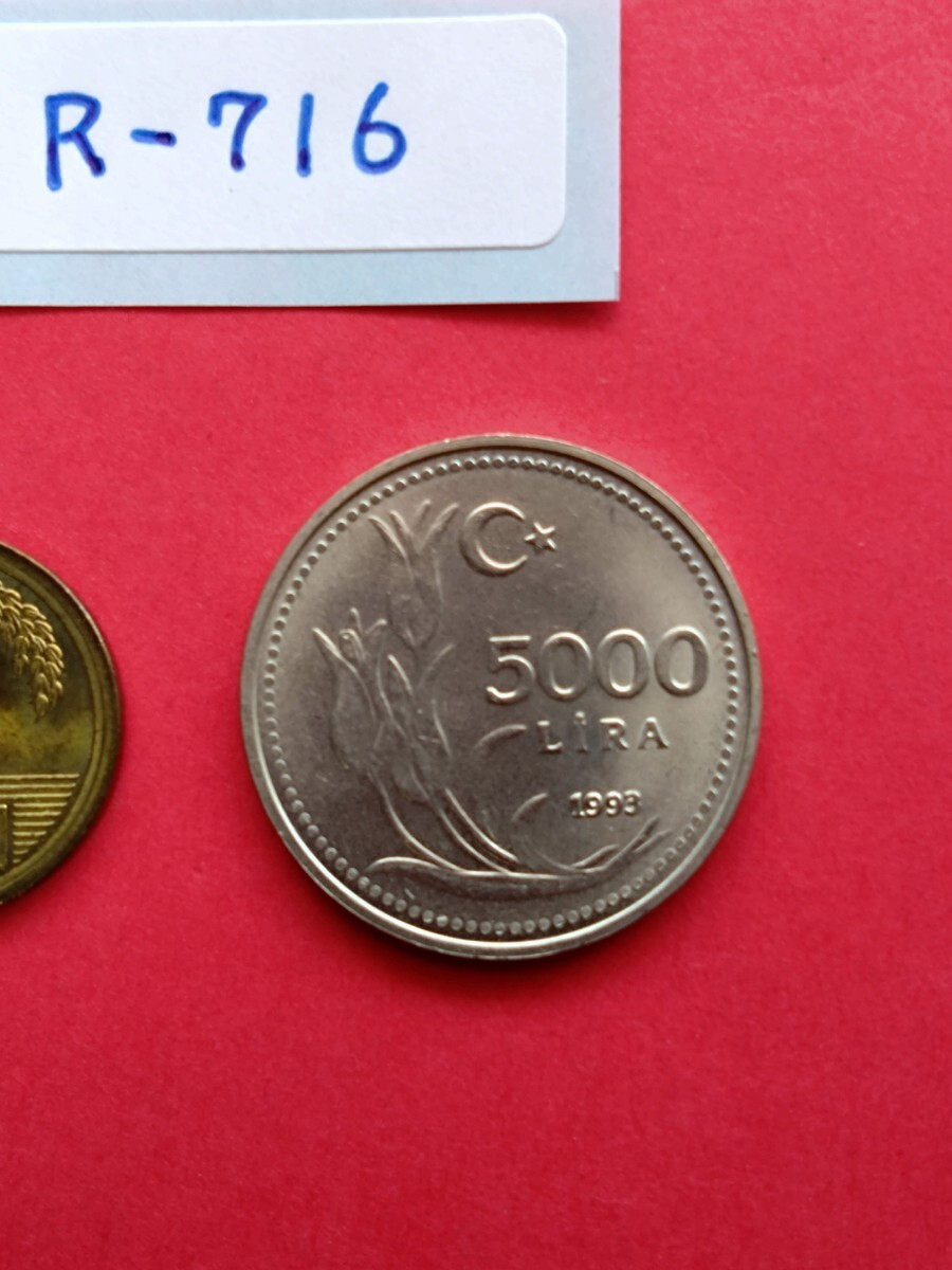 外国コイン トルコ (Rー７１６) ５０００リラ硬貨 １９９３年の画像3