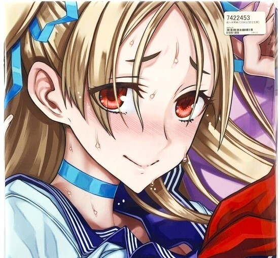メーカー直売所 RAITA 絶対少女 魔法少女 戦場のヴァルキュリア【未開封/匿名配送】 FGO Fate フェイト / バスタオル(50x120cm) ライクトロン 佐々木琴音 抱き枕