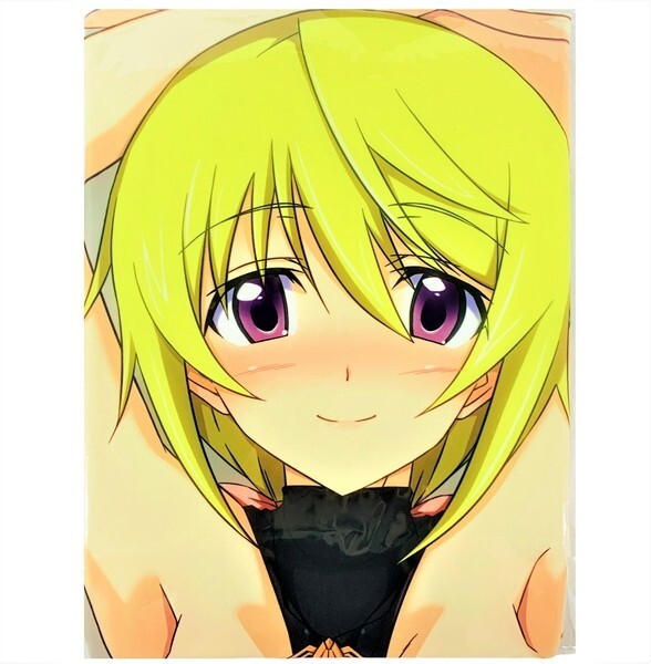 2024-25 秋冬新作 IS haruhisky 富士浅間堂 シャルロット・デュノア bunny【未開封/匿名配送】 ろいやるびっち アクアヴェール / 抱き枕カバー バニー 抱き枕