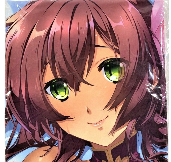 『1年保証』 (太史慈) 梨晏 グリーフルチャイナ 恋姫夢想 C95 片桐雛太 NEXTON 抱き枕カバー 【未開封/匿名配送】 ネクストン アクアプレミア / 抱き枕