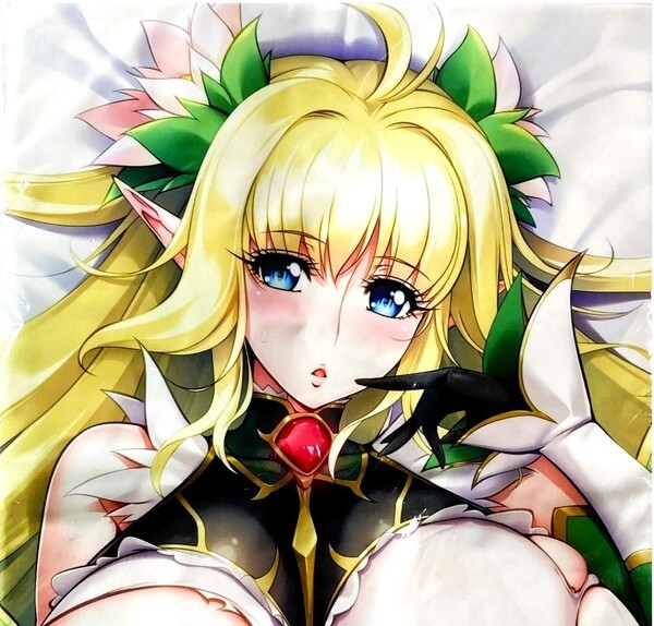 完璧主義 葵渚 ルネソフト ようこそ! 【未開封/匿名配送】 対魔忍ユキカゼ リリス ライクトロン / 抱き枕カバー ルーシェ スケベエルフの森へ 抱き枕