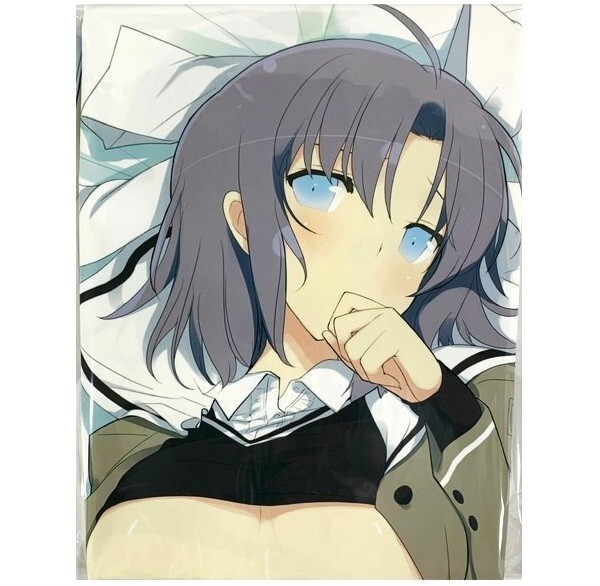 2024春大特価セール! / 抱き枕カバー 雪泉 閃乱カグラ ホビーストック A&J製 【匿名配送】 STOCK HOBBY 死塾月閃女学館 ライクトロン 抱き枕
