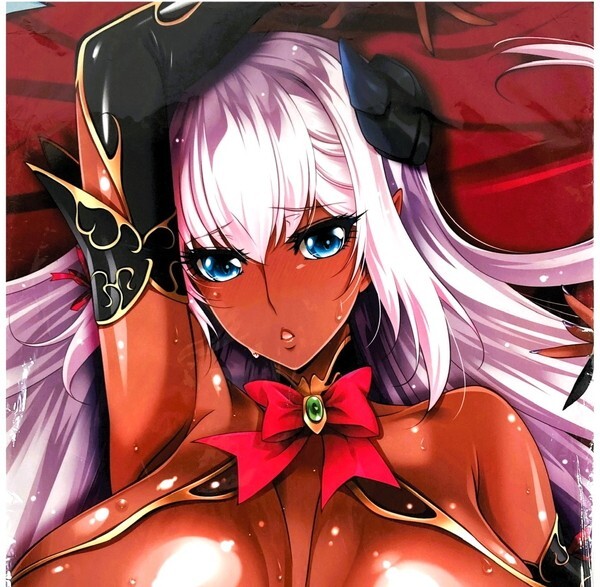 【大学生の特権】学生証で送料無料になる メロンブックス 【未開封/匿名配送】 aoi LILITH リリアナさん アネットさん ライクトロン A&J製 / 抱き枕カバー 描きおろし 葵渚 抱き枕