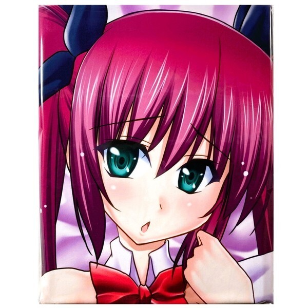 大学 割引 Bloody Trigger ポニーR 律乗院あかね 抱き枕カバー / デジクラブ製 DC雅(2WAYトリコット) 瞬間最大風速 【匿名配送】 抱き枕