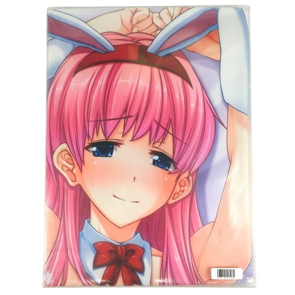 【再入荷!】 ピンポイント エレクトさわる 星空ゆず バニー 抱き枕カバー / 2WAYトリコット・艶 ERECTTOUCH 【未開封/匿名配送】 抱き枕