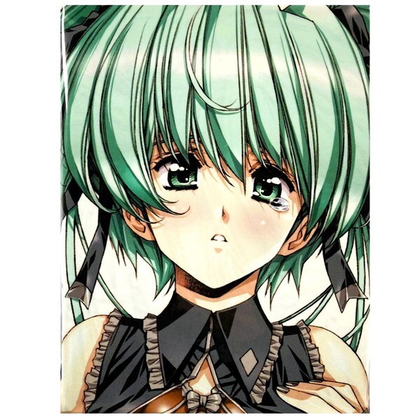 最新モデル 抱き枕カバー VOCALOID うるし原智志 大好き!ビーチクン / 【匿名配送】 誌上通販限定 美少女同人誌徹底攻略2008 ボカロ 抱き枕