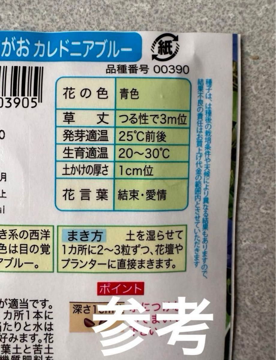 西洋朝顔カレドニアブルーの種25粒 遅咲き グリーンカーテン