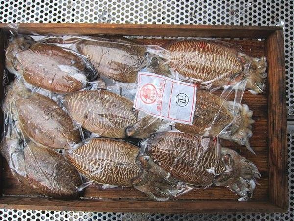 お刺身用「甲烏賊15尾入り4kg」高級珍味 山陰境港産の画像10