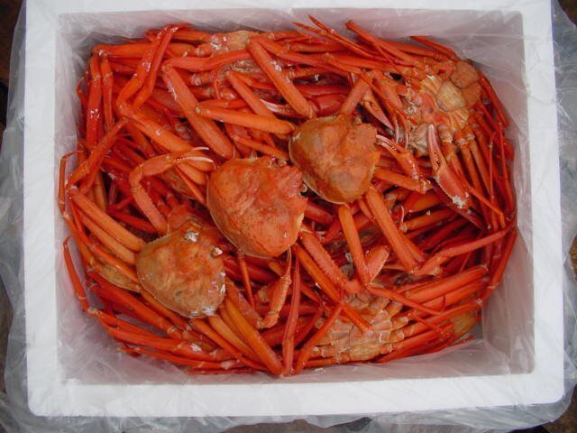 蟹食べ放題！！ボイル済み「紅ずわい蟹B10kg冷凍」蟹の本場、境港産の画像6