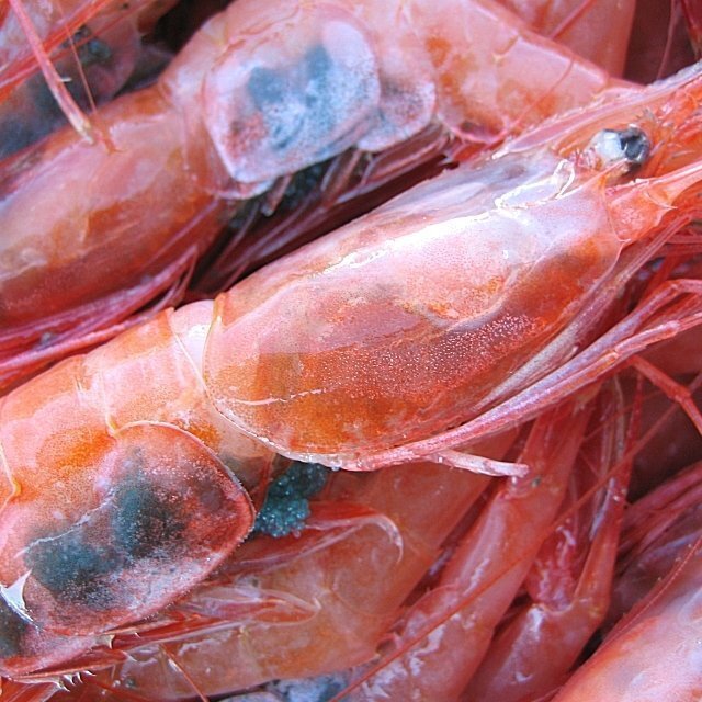 5 коробка, земля предмет [ красный море .( северная креветка )LA-1kg]. sashimi для .., вызывающий чувство гордости замечательная вещь 