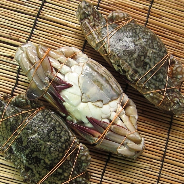 特大「子持ちワタリ蟹 1kgセット」活冷凍 スリランカ産の画像7