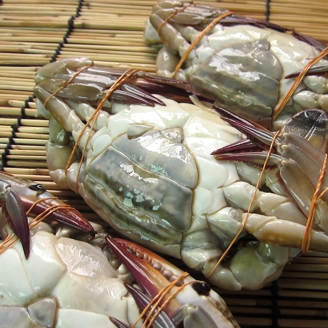 特大「子持ちワタリ蟹 1kgセット」活冷凍 スリランカ産の画像5