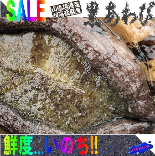 https://auctions.c.yimg.jp/images.auctions.yahoo.co.jp/image/dr000/auc0504/users/8f519ebb577e0c366c74d0318d9059dc4f172a05/i-img650x655-1713494879gpea4t61378.jpg