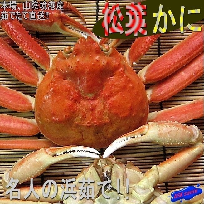 名人の浜茹で「松葉蟹 2尾で1kg」冷凍/山陰境港産　【即納】_画像9