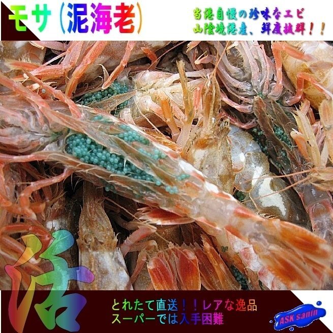 3箱、珍味なエビ「モサエビ1kg」(泥海老)．．．一般には流通しない自慢の逸品!!の画像1