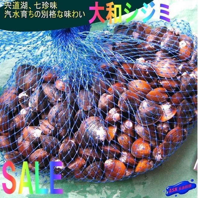 3本、宍道湖七珍味「大和しじみ1kg」 〓汽水育ちの別格な味わい〓の画像1