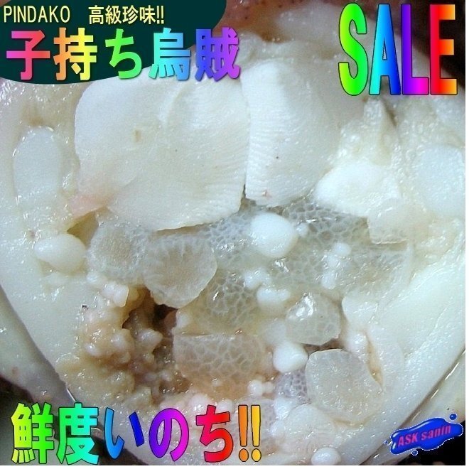 子持ち【ミミ烏賊3kg】-当港自慢の珍味-　『魚王国』境港産「ピンダコ3kg 」_画像2