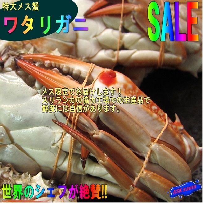 特大「子持ちワタリ蟹 1kgセット」活冷凍 スリランカ産の画像10