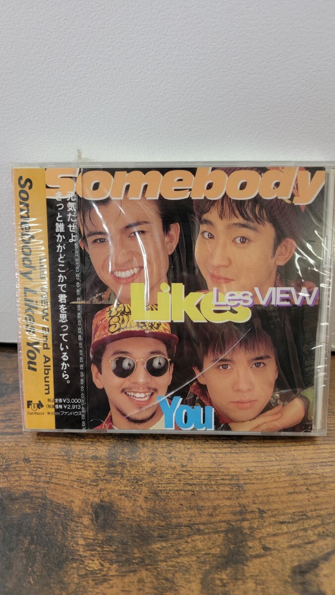 【未開封】 レア 見本盤 CD Les VIEW/Somebody Likes You_画像1