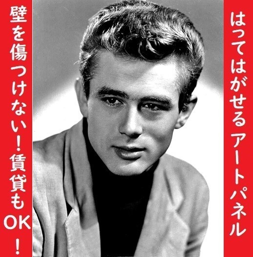 E7 ジェームズ・ディーン/James Dean/アートパネル/ファブリックパネル/インテリアパネル/ポスター_画像3