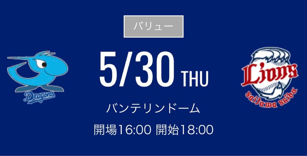 ５月３０日(木)  中日ドラゴンズ 対埼玉西武ライオンズ　レフト側ドラゴンズ 外野応援席　ペア