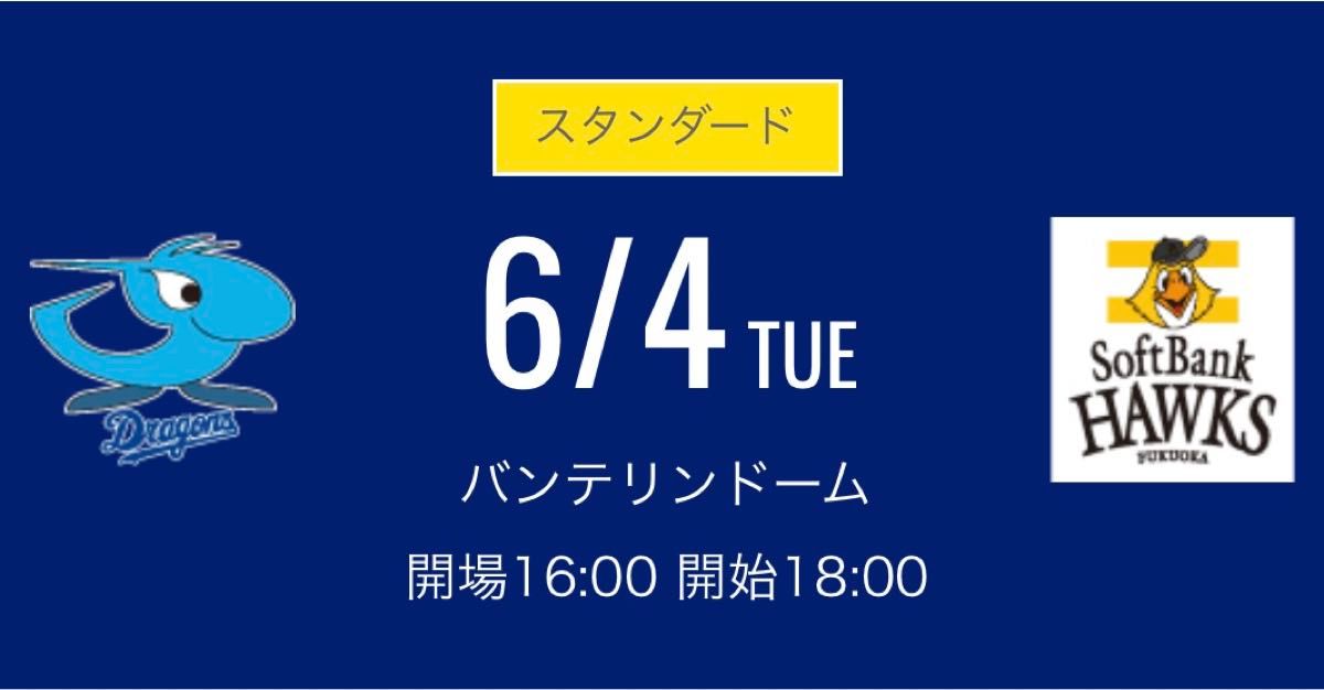 ６月４日(火)  中日ドラゴンズ 対福岡ソフトバンクホークス　レフト側ドラゴンズ 外野応援席　ペア