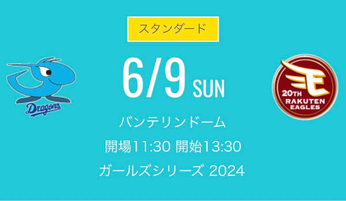 ６月９日(日)  中日ドラゴンズ 対東北楽天ゴールデンイーグルス　レフト側ドラゴンズ 外野応援席　ペア