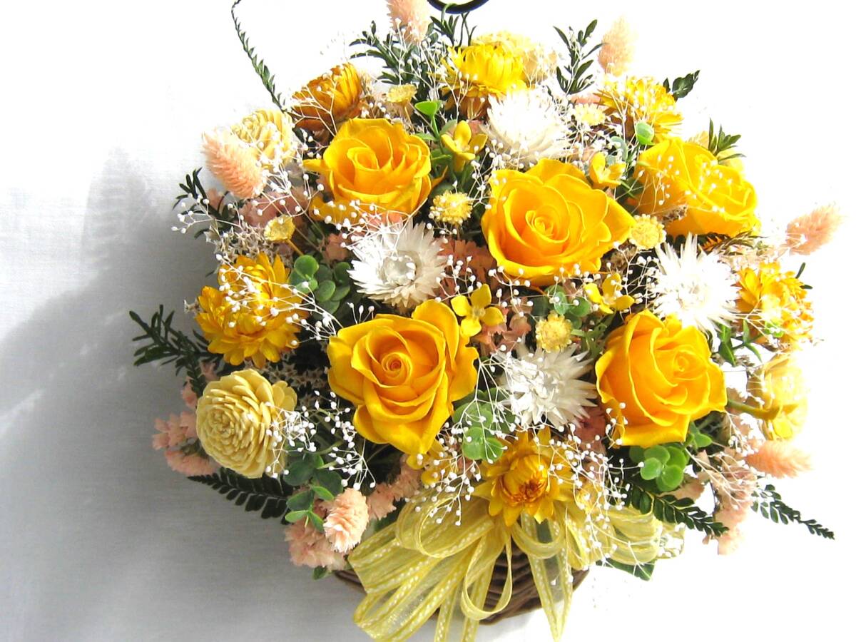  bell. dry flower brilliant . wall decoration preserved rose yellow 